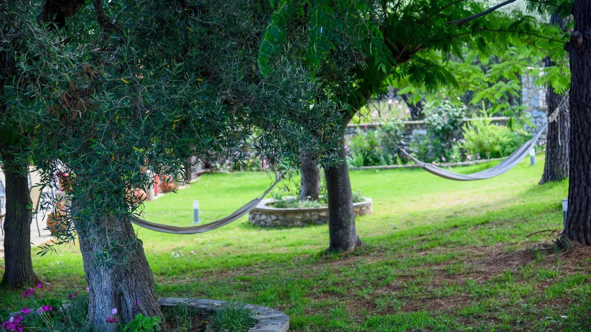 Villa Elli Nikiti