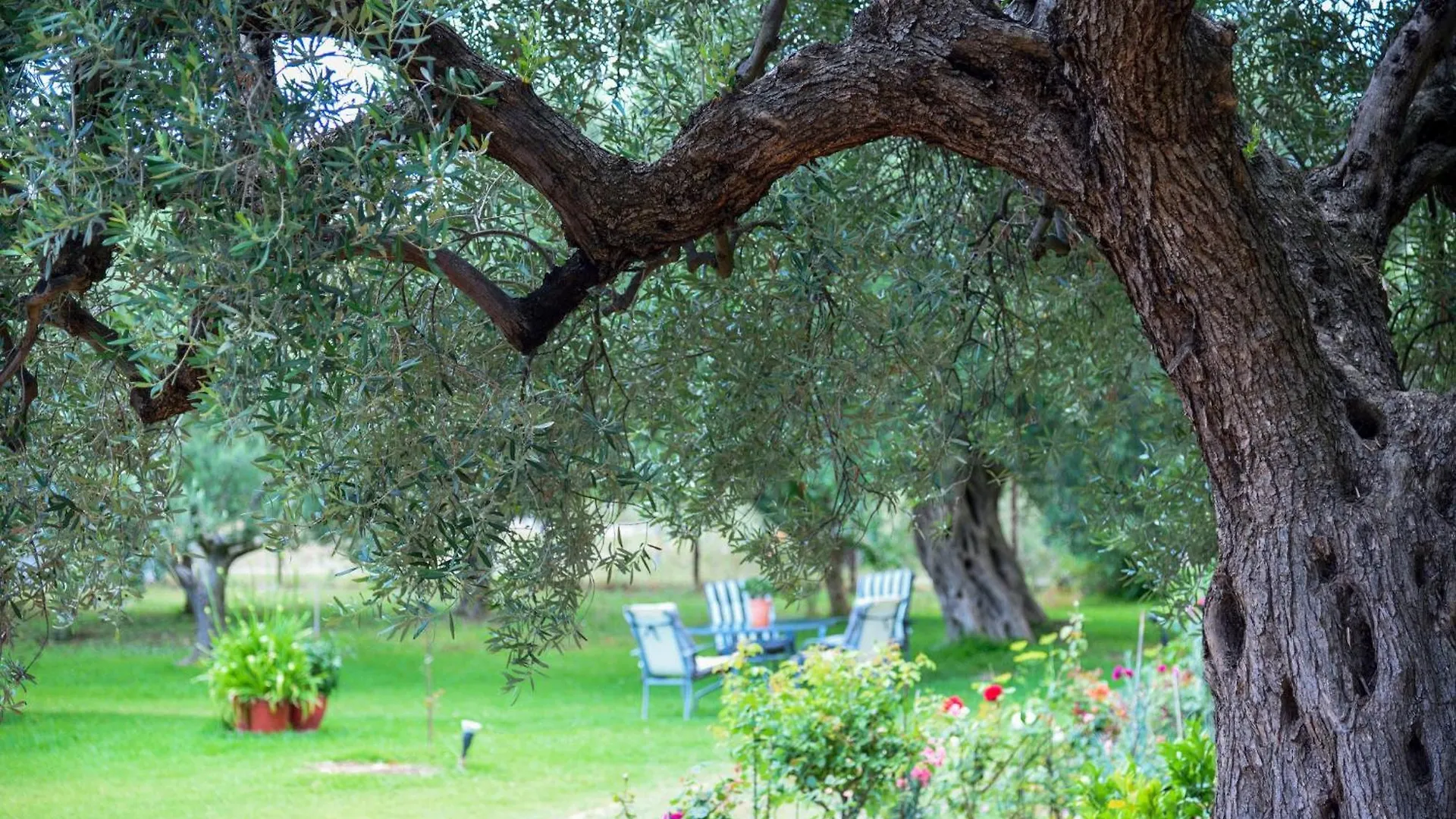 Villa Elli Nikiti